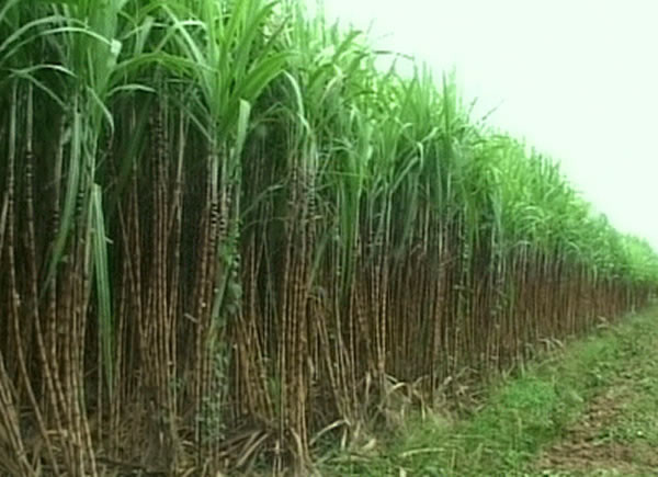 Khắc phục tình trạng lập quy hoạch để xin-cho ảnh 1