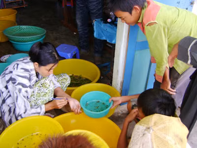 Trẻ em nghèo ven biển Bạc Liêu mò cua con để bán cho trại giống kiếm tiền