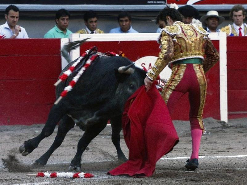 Tại cuộc đấu ở Mexico anh đã bị trọng thương ở đùi bên trái. Ảnh Spiegel Con vật nhấc anh lên khỏi mặt đất. Ảnh Spiegel Anh nằm trên sân đấu trong khoảnh khắc tuyệt vọng. Ảnh Spiegel May mắn là đội cứu trợ đã can thiệp kip thời. Ảnh Spiegel