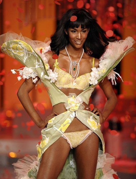 Nhan sắc người mẫu Victoria’s Secret sắp tới Việt Nam ảnh 6