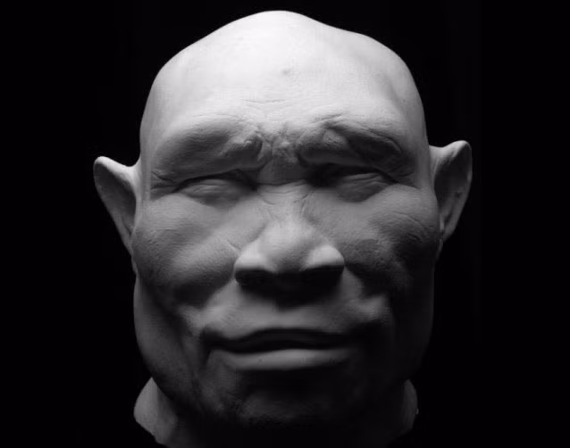 Có giả thiết cho rằng Homo erectus – sống cách đây 1 triệu năm có nhuồn gốc từ châu Phi và di cư đến Ấn Độ, Trung Quốc và Java và ngược lại