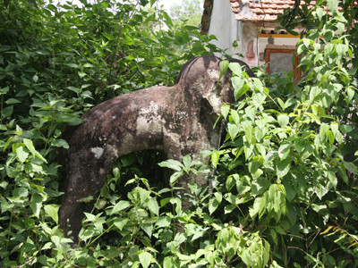 Tượng voi ở sau khu nhà dân. Đây được cho là tượng thuộc Phật viện Đồng Dương thuở trước. Ảnh: T.V