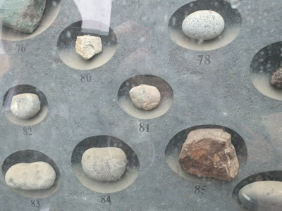 Viên đá của Việt Nam được đánh số 81