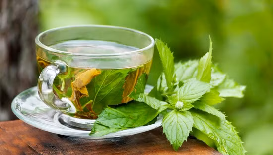 Cách giải rượu nhanh, ngăn ngừa mệt mỏi ảnh 5