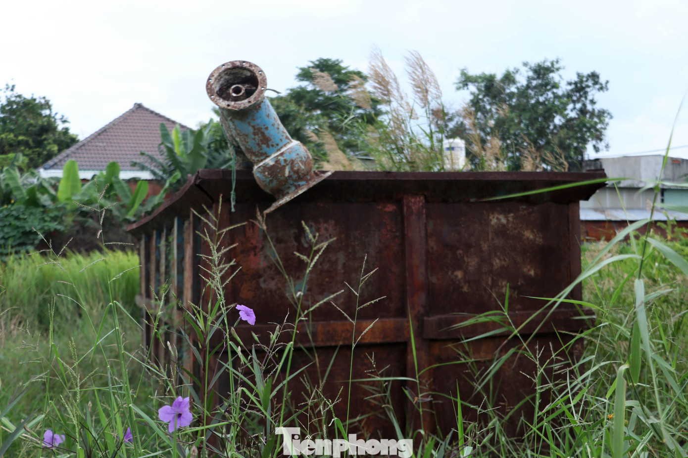 Các trang thiết bị phục vụ thi công đã bị cỏ mọc bao phủ, gỉ sét hư hỏng.