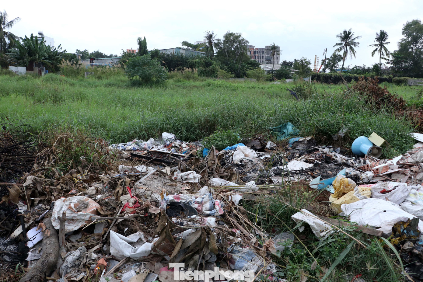 Do công trường ngưng hoạt động nhiều năm nên người dân xung quanh đã mở hàng rào đi vào trong, biến nơi đây thành bãi rác.