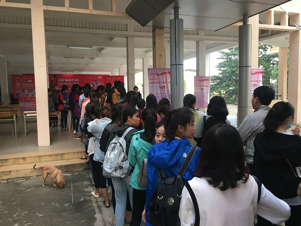 Chủ nhật Đỏ đồng loạt diễn ra ở nhiều tỉnh, thành ảnh 92