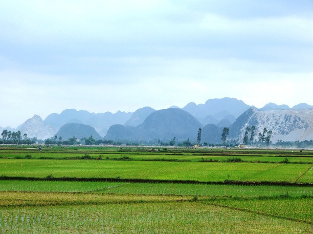 Ảnh minh họa. Nguồn: Internet