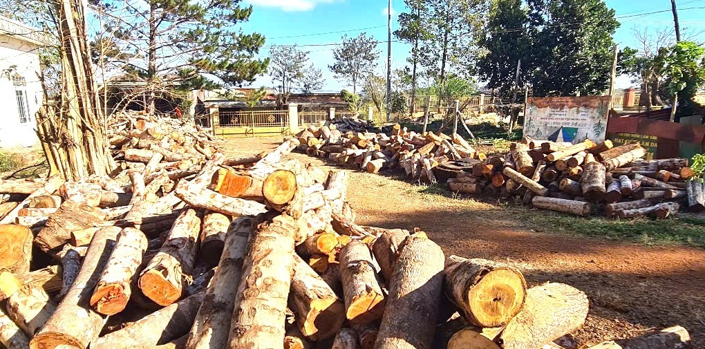 Tang vật vụ phá rừng. Tang vật vụ phá rừng.