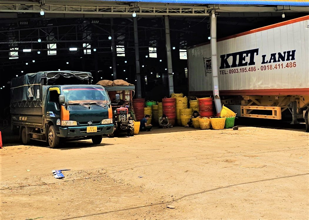 Một kho bãi sầu riêng tại huyện Krông Pắc. Một kho bãi sầu riêng tại huyện Krông Pắc.