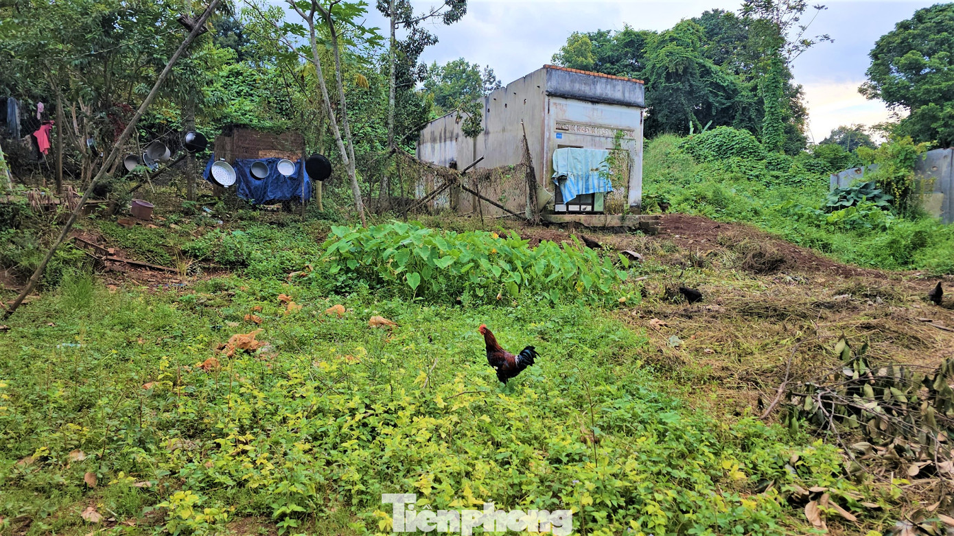 Nhiều hộ dân đã bàn giao mặt bằng, chuyển đi nơi khác