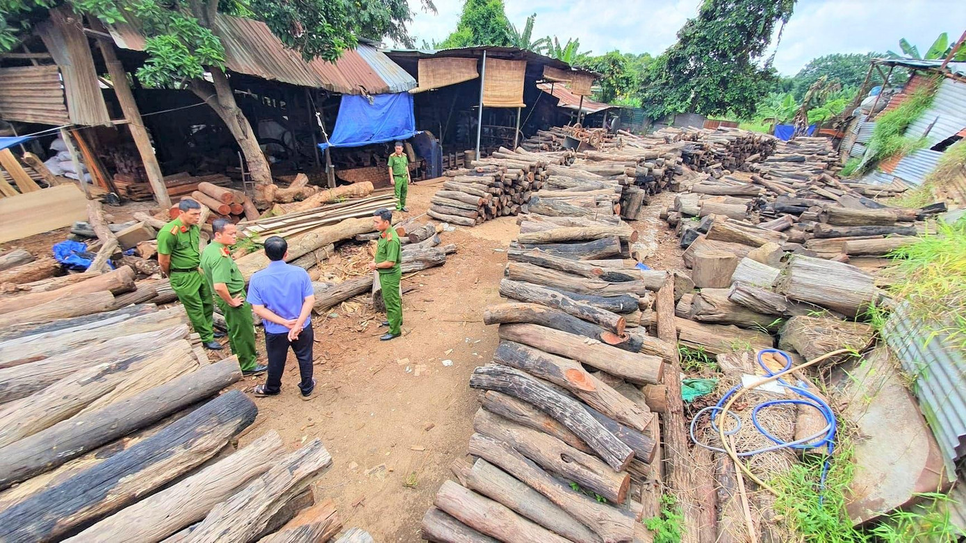 Lực lượng chức năng phát hiện gỗ lậu tại Cty TNHH Thương mại và Dịch vụ gỗ Phương Tây Nguyên