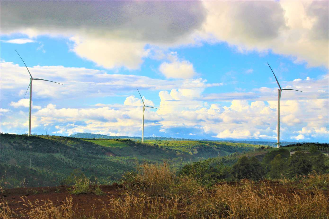 Các dự án điện gió đang bị chồng lấn lên quy hoạch bô-xít. Các dự án điện gió đang bị chồng lấn lên quy hoạch bô-xít.