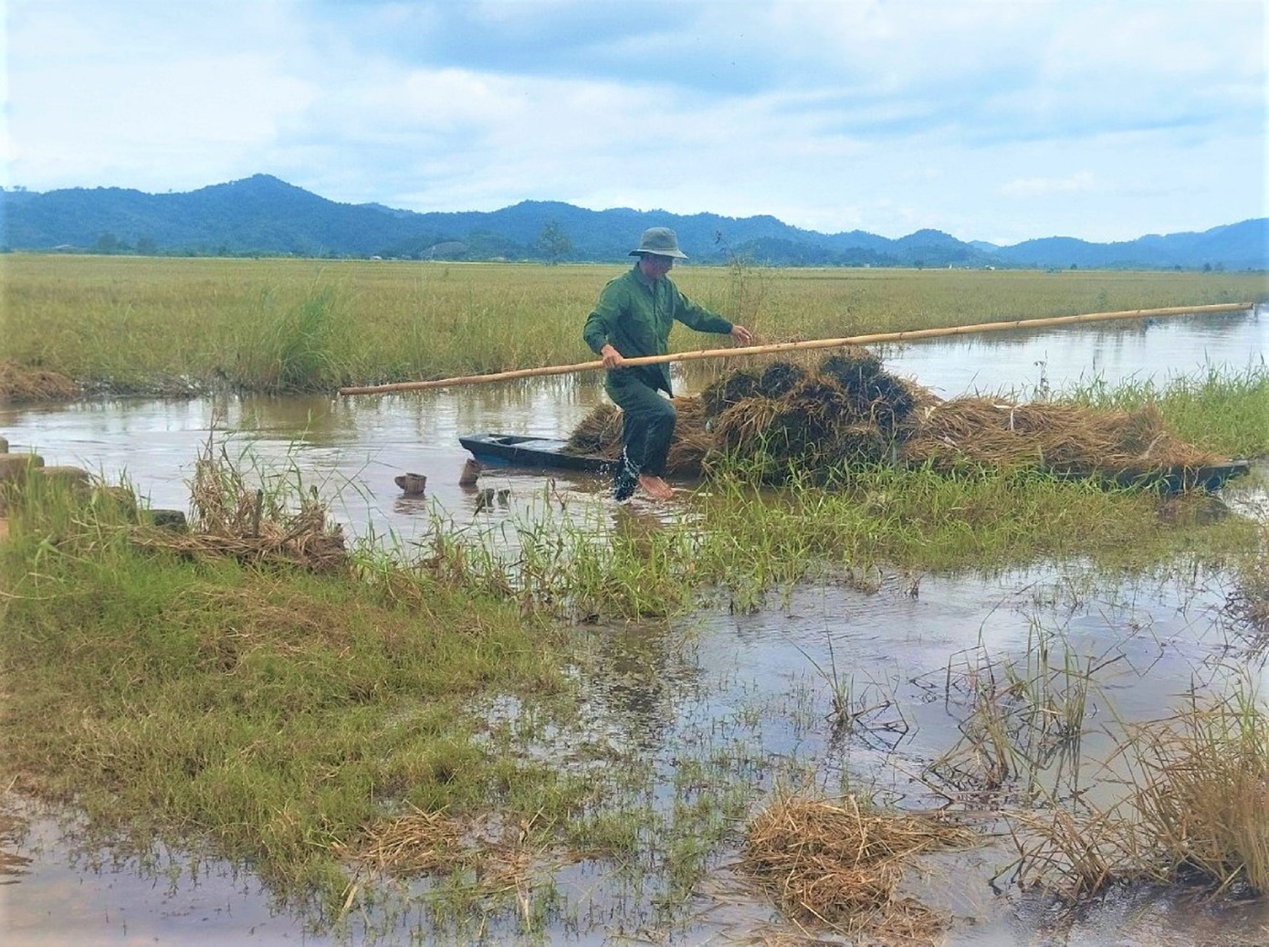Người dân phải dùng ghe đẩy để vận chuyển lúa