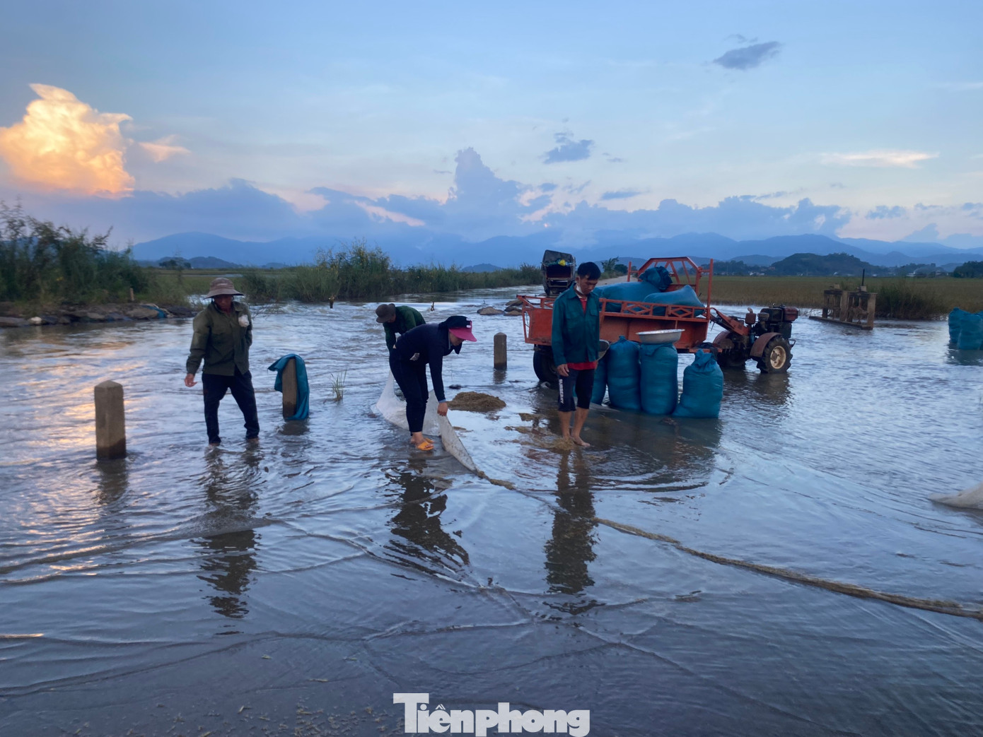 Người dân phải rửa lại lúa vì bị bám bùn đất