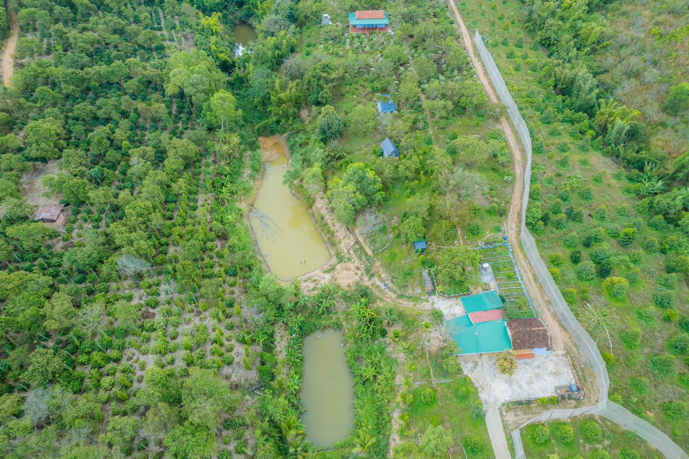 Nhìn từ trên cao, khu tu tập khá đồ sộ, được xây dựng không khác gì nhà ở.