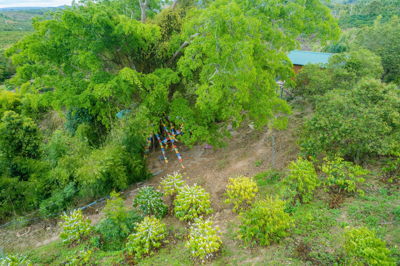 Mỗi thất phục vụ tu tập ẩn khuất dưới những bụi cây lớn.