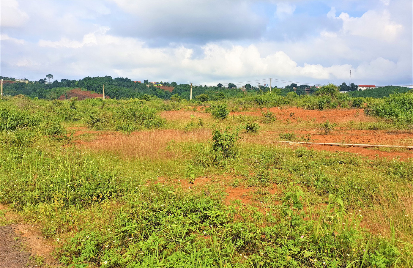 Đắk Nông kiên quyết thu hồi những dự án thuê đất nhưng không triển khai