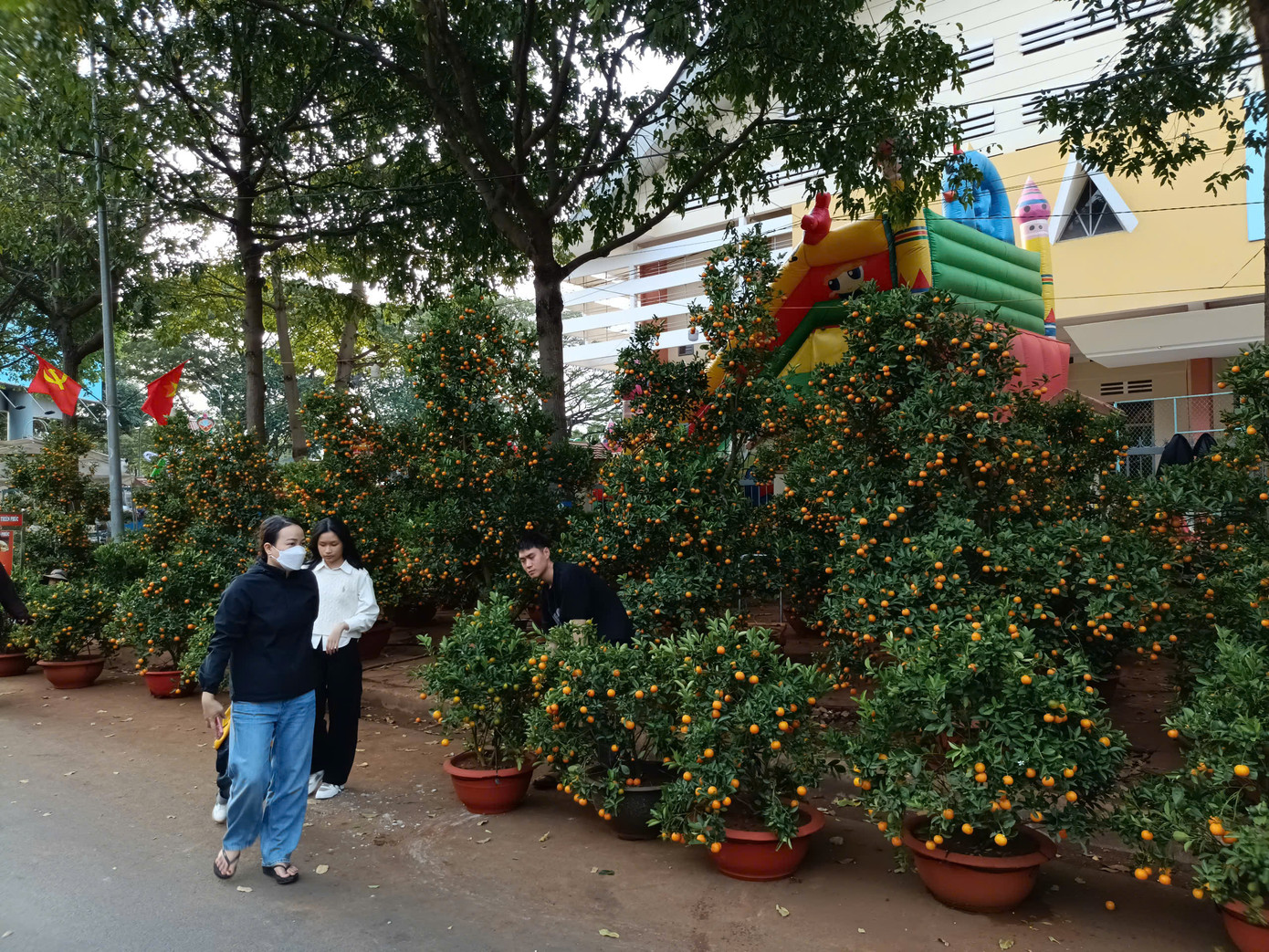 Gần Tết nhưng mặt hàng quất vẫn còn nhiều. Gần Tết nhưng mặt hàng quất vẫn còn nhiều.