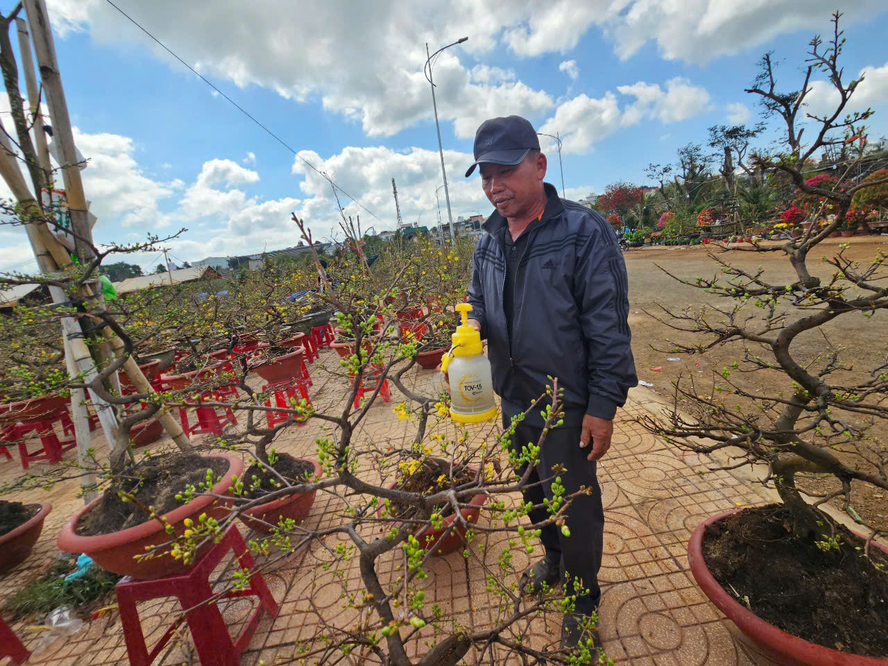 Chợ hoa tại thị trấn Phước An vắng khách. Chợ hoa tại thị trấn Phước An vắng khách.