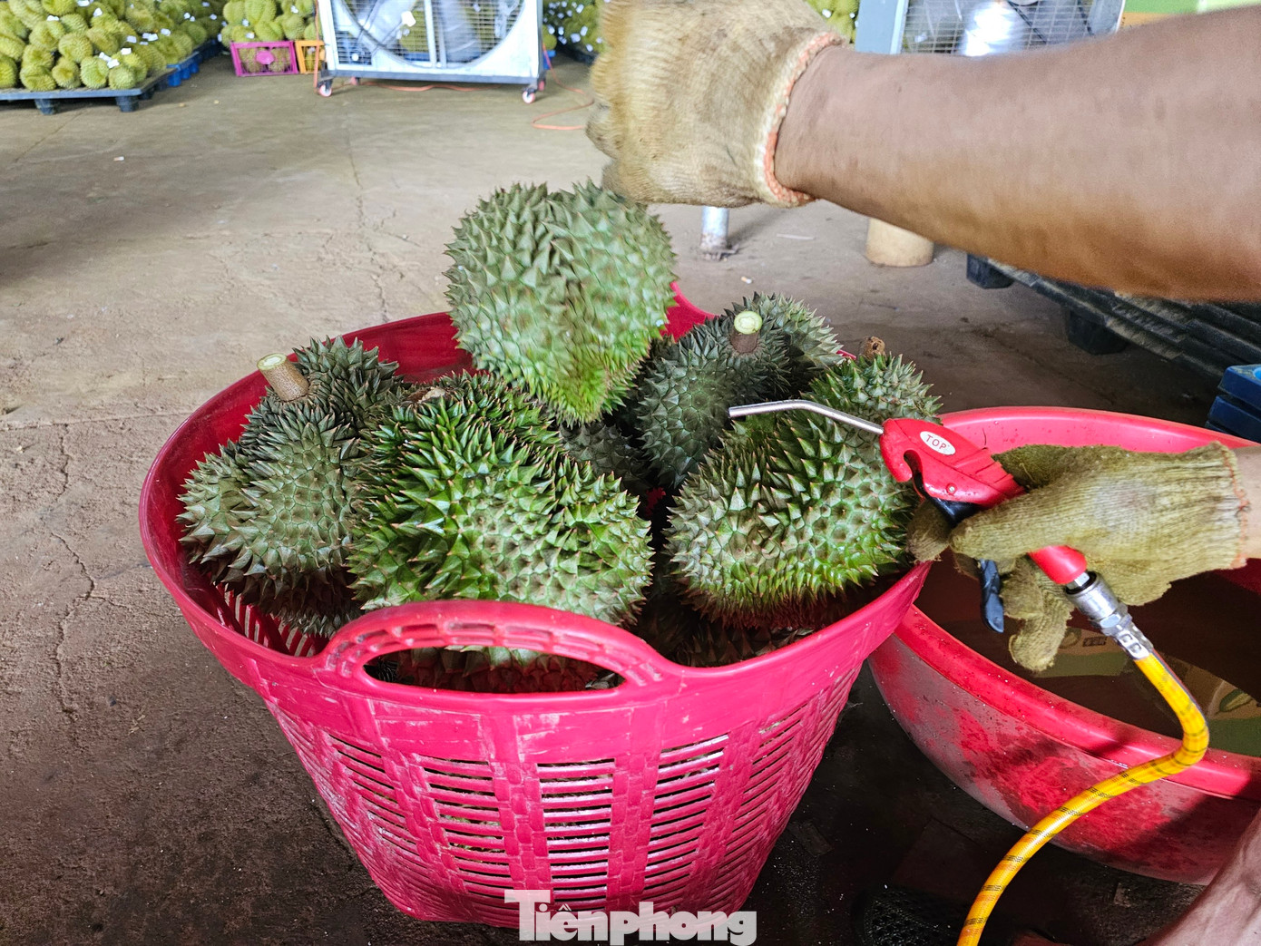 Ông Kiệt dùng súng áp lực để loại bỏ sinh vật bám trên bề mặt vỏ