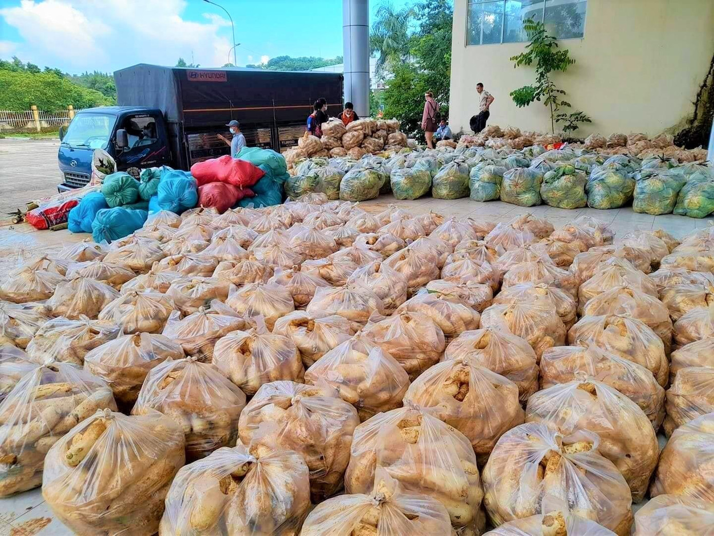 Hàng trăm tấn rau củ quả được các nhà hảo tâm Đắk Nông tặng nhân dân vùng tâm dịch phía nam