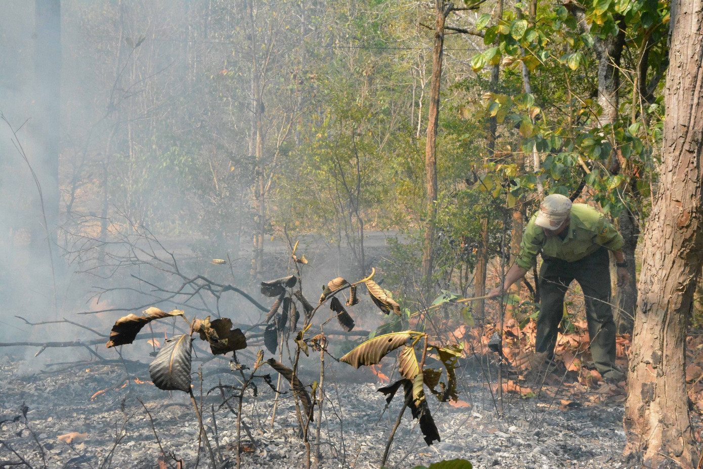Thời tiết nắng nóng, tiềm ẩn nguy cơ cháy rừng