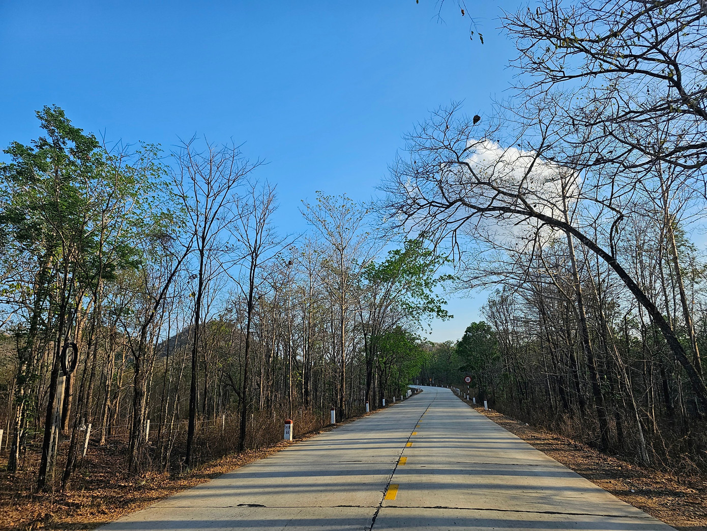 Khu rừng khộp Vườn QG Yok Đôn đang trụi lá