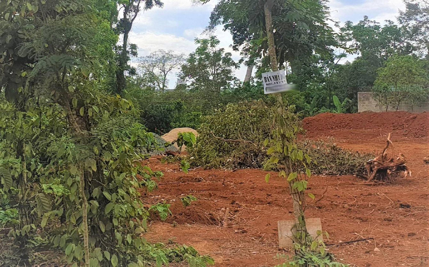 "Sốt đất" diễn ra nhiều nơi trên địa bàn tỉnh Đắk Lắk "Sốt đất" diễn ra nhiều nơi trên địa bàn tỉnh Đắk Lắk