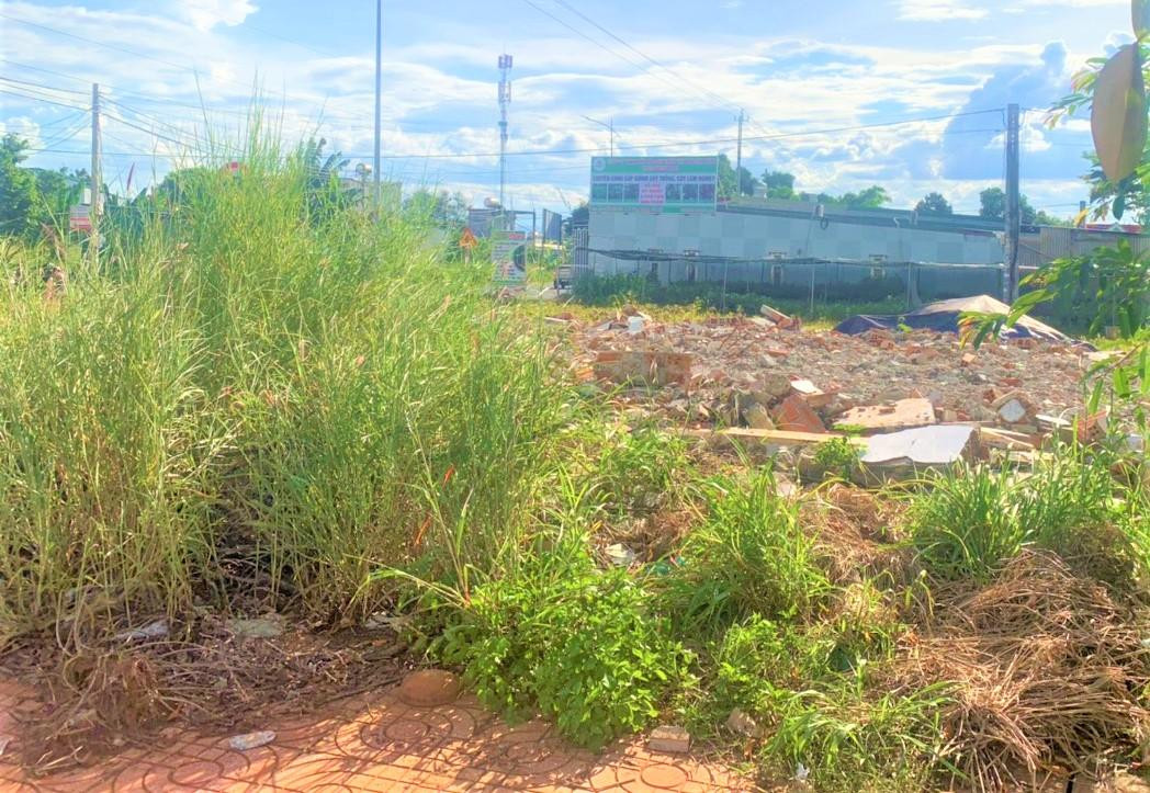 Tòa án nhận định Chủ tịch phường cho cưỡng chế vượt diện tích vi phạm