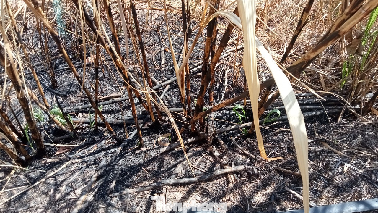 Những đám cháy tự xuất hiện tại thôn Trung, xã Ia Lốp