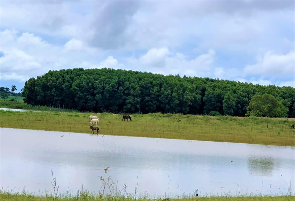 Các ban ngành liên quan sẽ có lộ trình di dời trang trại của nguyên Bí thư Tỉnh ủy khỏi Khu KBTTN Các ban ngành liên quan sẽ có lộ trình di dời trang trại của nguyên Bí thư Tỉnh ủy khỏi Khu KBTTN
