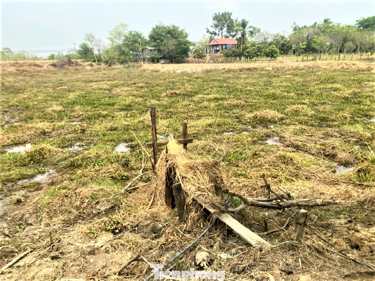 Hồi tháng 4, người dân nơi đây phải vét nước hồ Ea Dong để sử dụng.