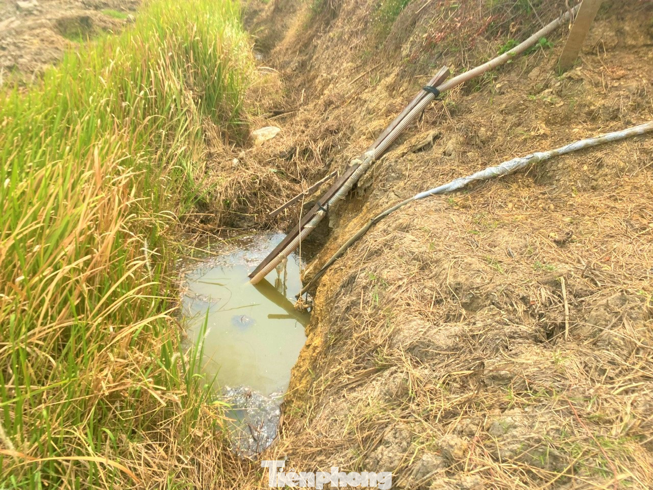 Những lúc quay quắt vì hạn, người dân phải vét từng giọt nước đục ngầu để dùng.