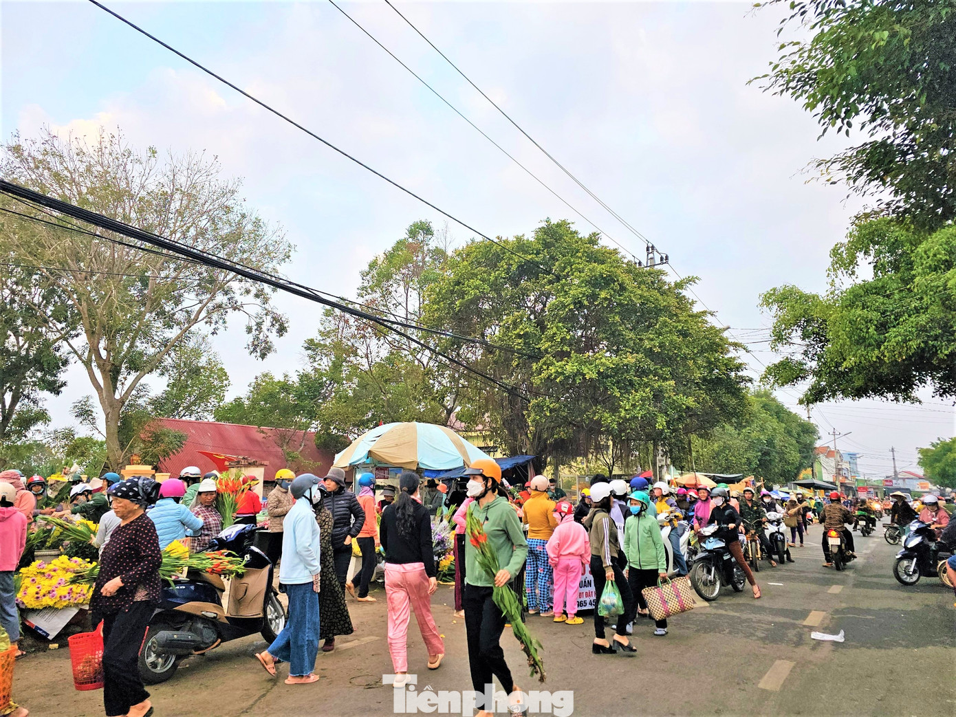 Người người đi sắm Tết