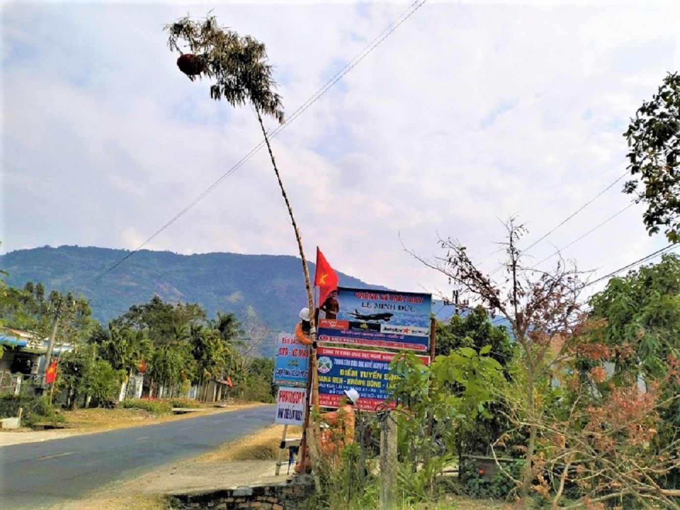 Công nhân Điện lực Krông Bông hỗ trợ hạ độ cao cây nêu do vượt quá hành lang an toàn điện