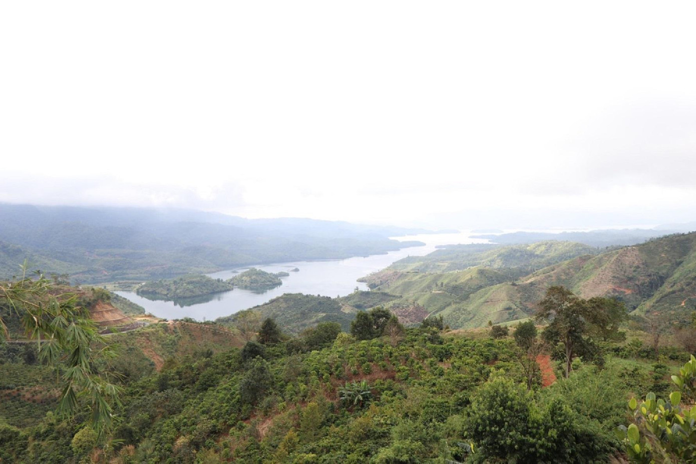 Viện Lâm nghiệp Tây Nguyên để mất hơn 2.000 ha rừng Viện Lâm nghiệp Tây Nguyên để mất hơn 2.000 ha rừng