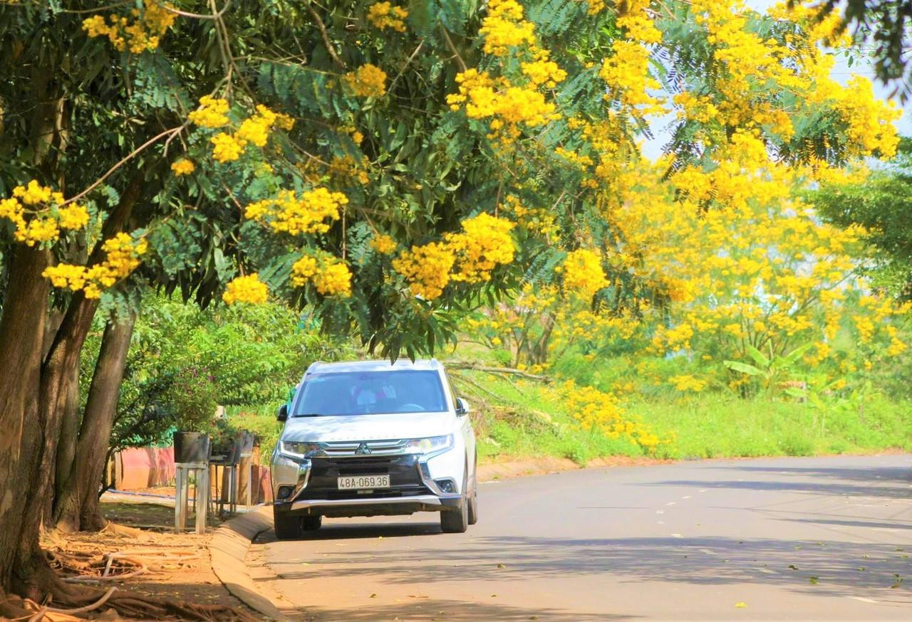 Với sắc vàng phủ kín quanh năm, Gia Nghĩa được mệnh danh là "phố thị hoa vàng" Với sắc vàng phủ kín quanh năm, Gia Nghĩa được mệnh danh là "phố thị hoa vàng"