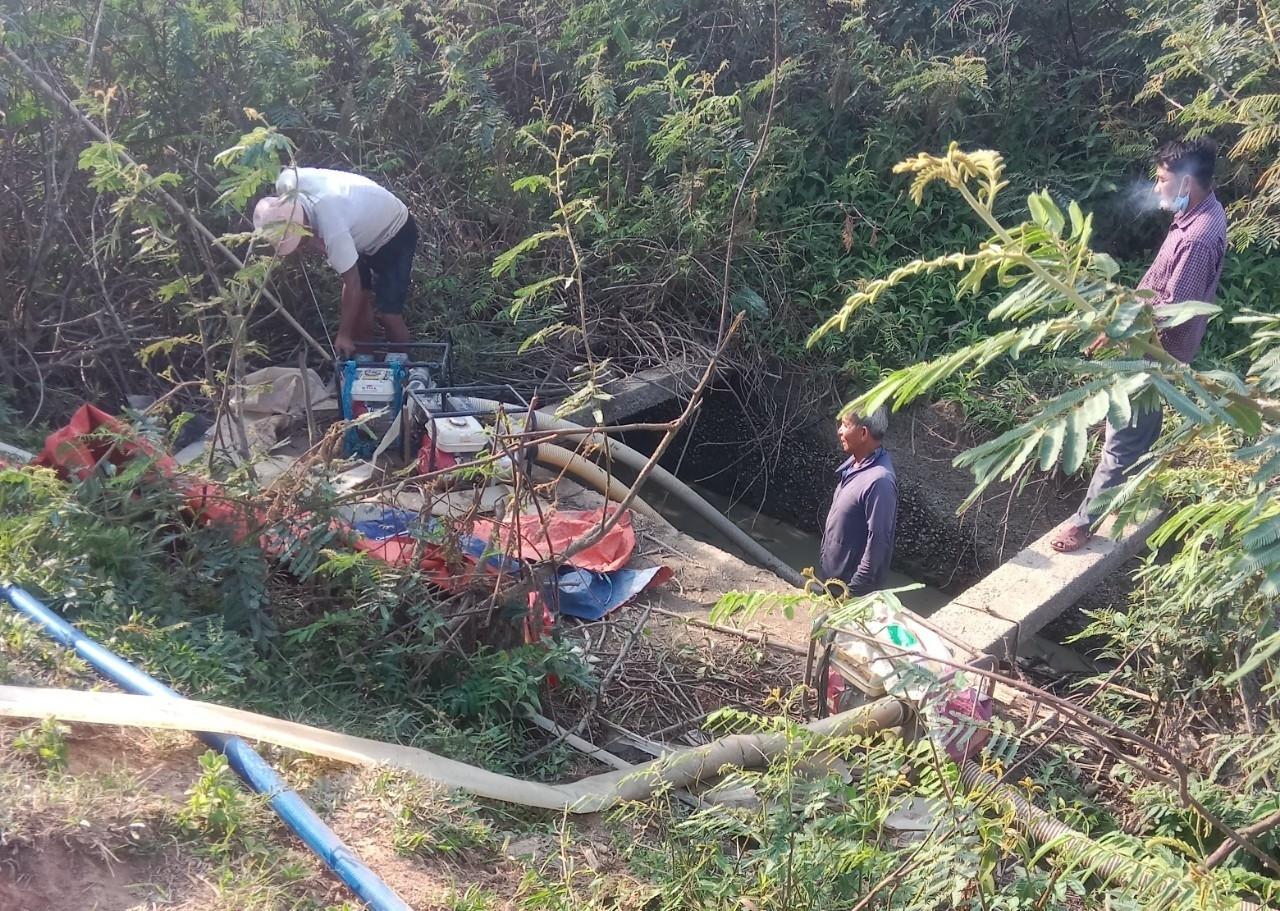 Nông dân tìm mọi cách để cứu cây trồng Nông dân tìm mọi cách để cứu cây trồng