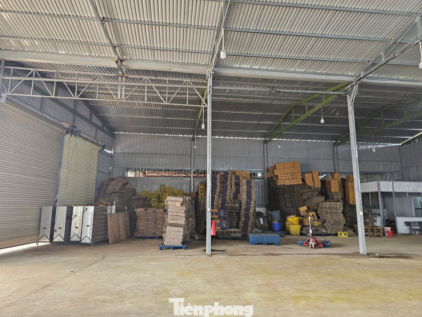 Nhu cầu về kho bãi tập kết sầu riêng tại huyện Krông Pắc rất lớn.