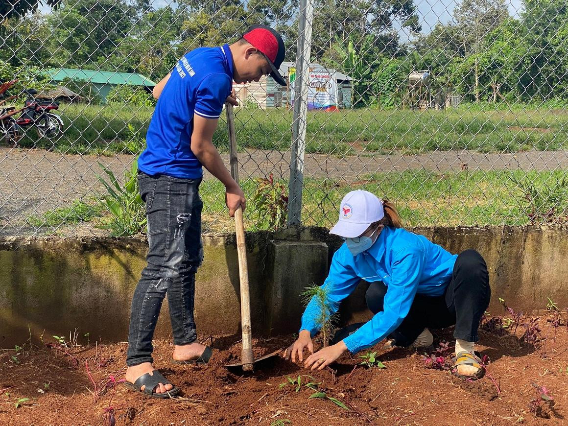 Chào mừng Lễ hội sầu riêng huyện Krông Pắc lần thứ nhất năm 2022, Đoàn thanh niên xã Ea Yông phối hợp với UBND xã trồng hơn 300 cây thông xanh tại buôn Ea Yông và buôn Gha Mah