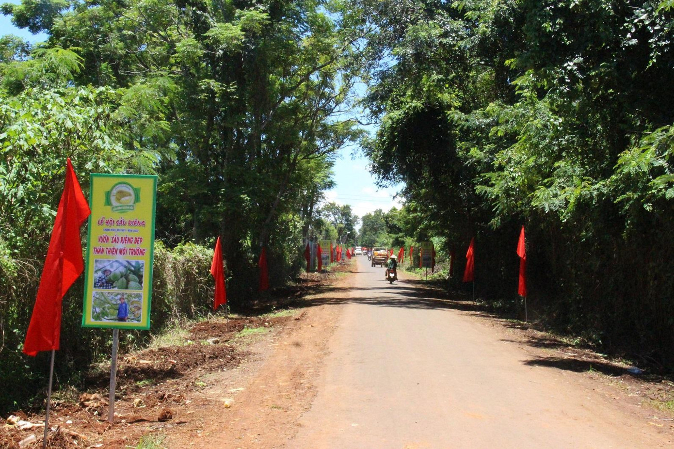 Con đường dẫn du khách đến tham quan, trải nghiệm ăn sầu riêng tại vườn