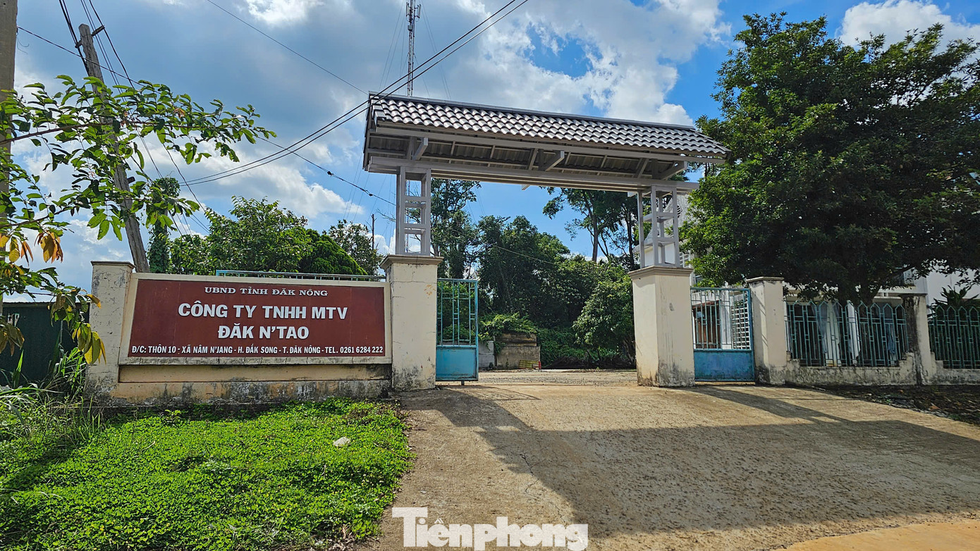 Công ty TNHH MTV Lâm nghiệp Đắk Nông