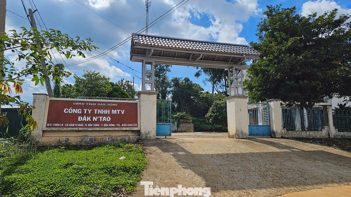 Công ty TNHH MTV Lâm nghiệp Đắk Nông Công ty TNHH MTV Lâm nghiệp Đắk Nông