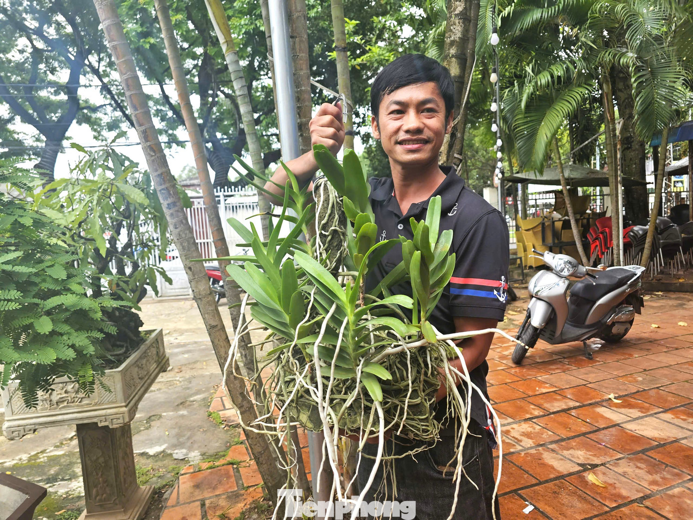 Lan Hoàng nhạn tháng 4 được anh Long sưu tầm trong lần bị voi rừng đuổi. Lan Hoàng nhạn tháng 4 được anh Long sưu tầm trong lần bị voi rừng đuổi.