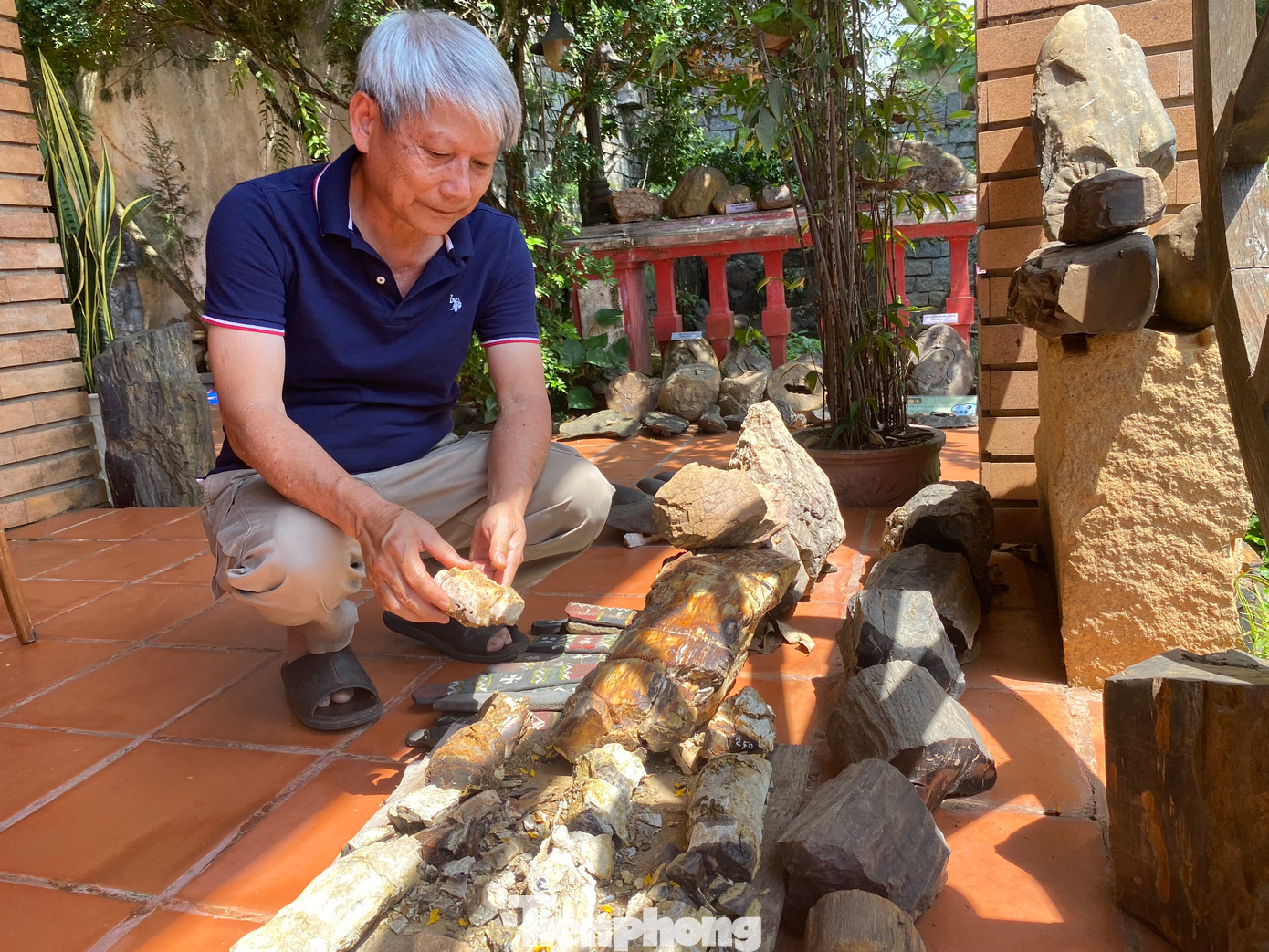 Trong khu vườn của ông ngập tràn các mẫu hóa thạch Trong khu vườn của ông ngập tràn các mẫu hóa thạch