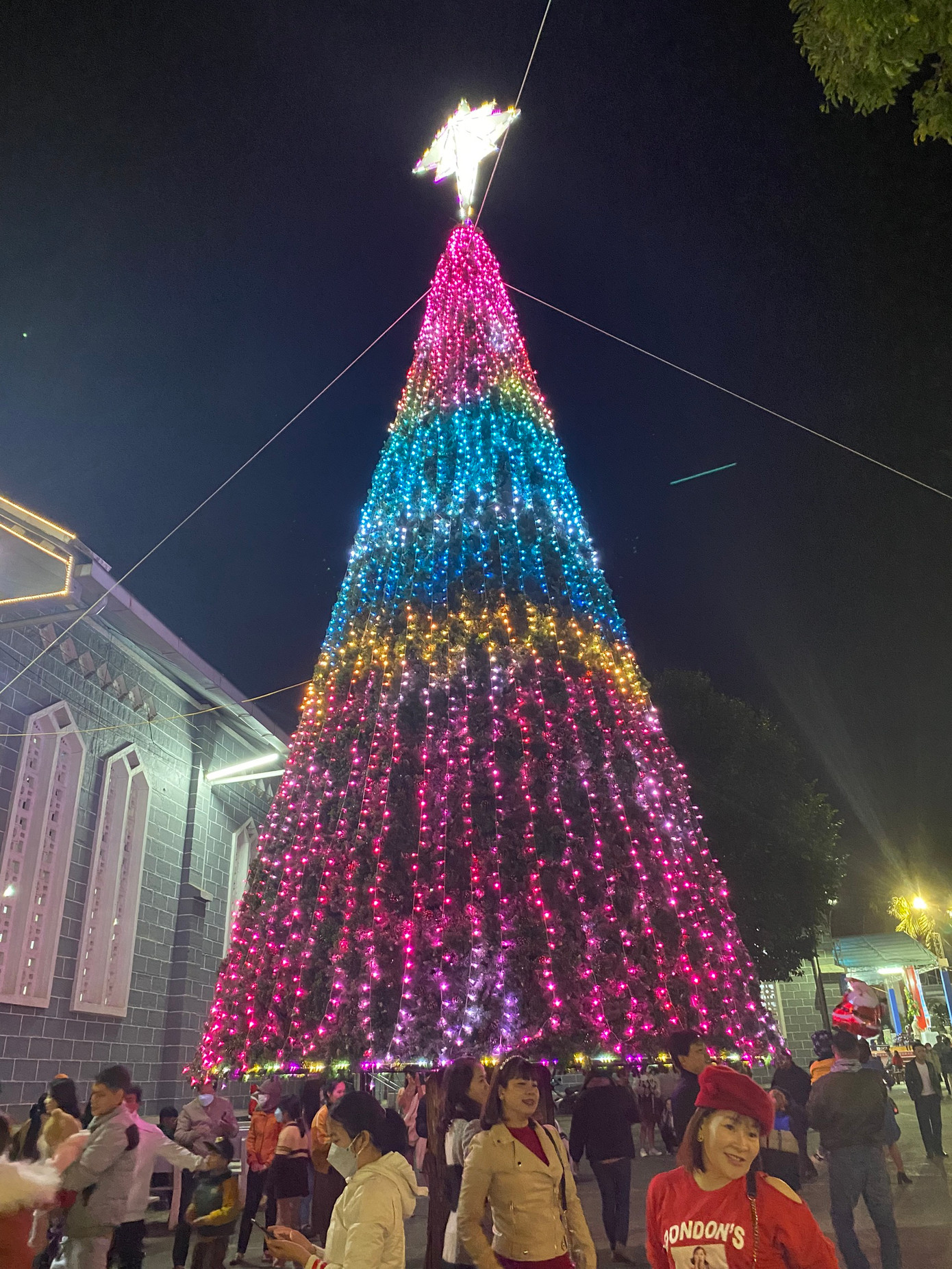 Du khách chụp ảnh bên cây thông đa sắc màu Du khách chụp ảnh bên cây thông đa sắc màu