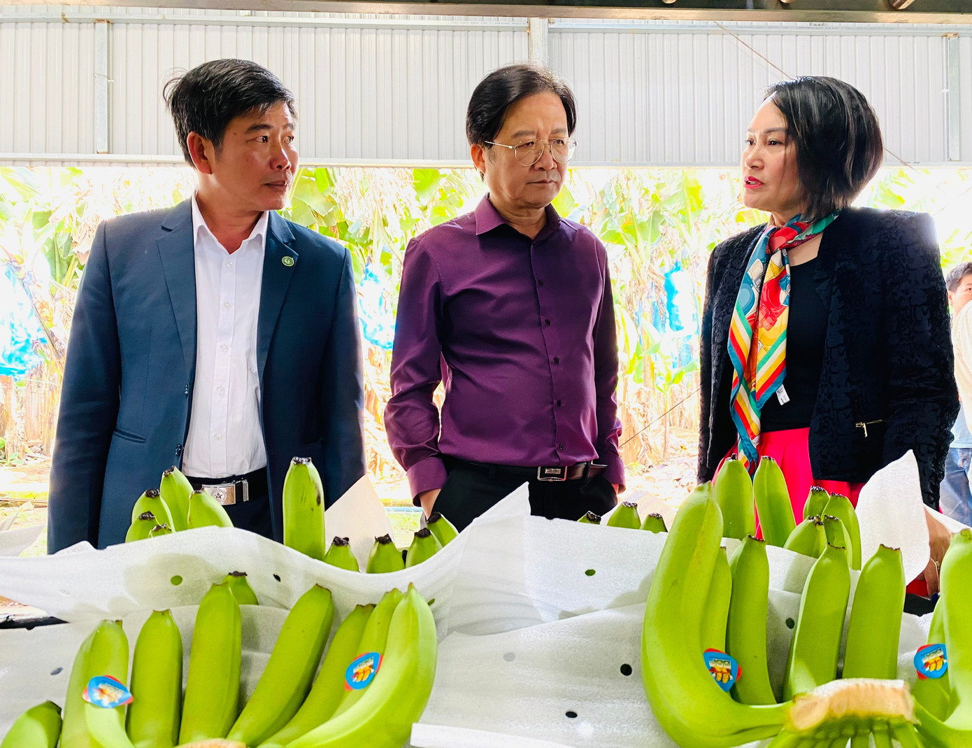 Ông Nguyễn Hoài Dương, Giám đốc Sở NN&PTNT Đắk Lắk (giữa) - tham quan dây chuyền đóng gói chuối của BBF.