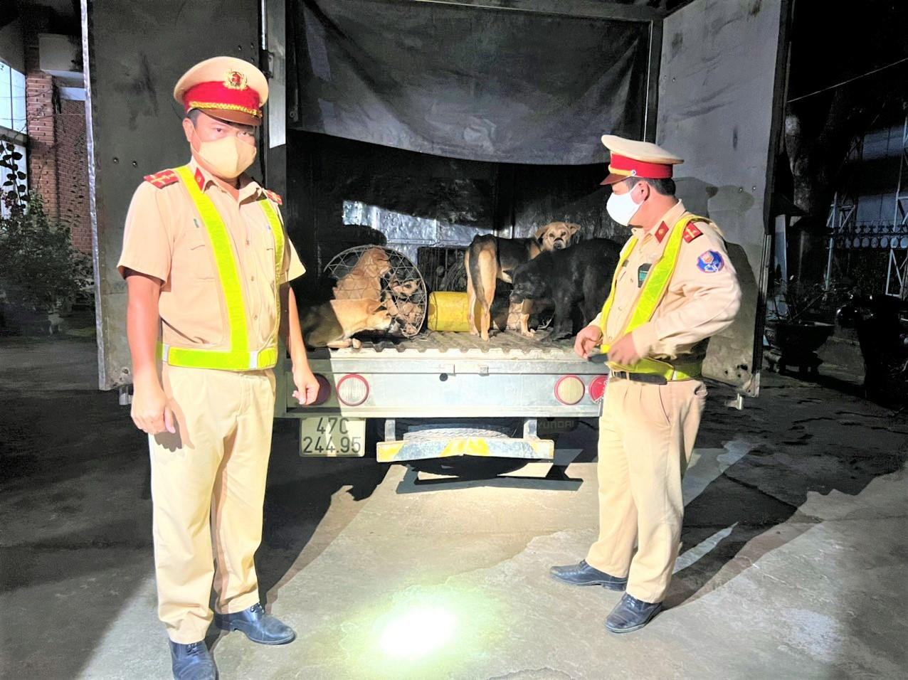 Lực lượng CSGT phát hiện trong thùng xe tải có hàng chục con chó