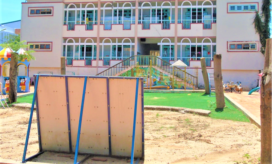 Nhiều cây xanh ở trường học Đắk Lắk bị chặt hồi năm 2020